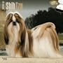 Shih Tzu 2014: Original BrownTrout-Kalender [Mehrsprachig] [Kalender]