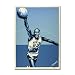 Chicago Bulls Michael Jordan North Carolina Silkscreen Print Autographed by Artist Shepard Fairey