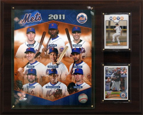 MLB New York Mets 2011 Team Plaque