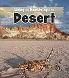 Living and non-living in the desert