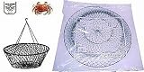 Dolphin Wire Mesh 2-Ring Crab Trap - 18 X 10