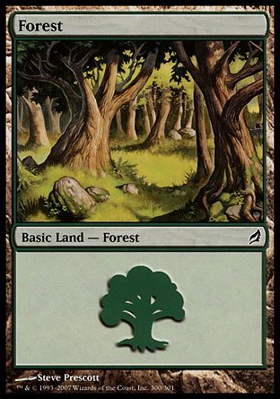 Magic: the Gathering - Forest (300) - Lorwyn - Foil