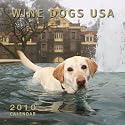 Wine Dogs USA 2010 Calendar
