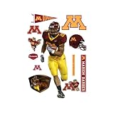 NCAA Minnesota Golden Gophers Marion Barber Wall Graphic