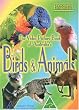 Australia's Birds & Animals