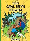 Cawl erfyn Efflwfia