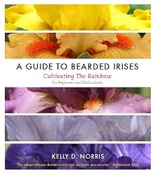 A Guide to Bearded Irises: Cultivating the Rainbow for Beginners and Enthusiasts