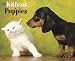 Kittens & Puppies 2010 Wall Calendar