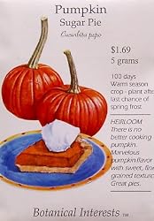 Heirloom Pumpkin Sugar Pie Seeds