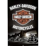 Harley Davidson Leather Art Print Poster - 24x36