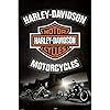 harley davidson curtains