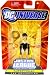 DC Universe Justice League Unlimited Fan Collectio