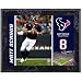 Matt Schaub Houston Texans 8x10 Color Plaque