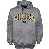 Michigan Wolverines Ash Mascot One Hoody Sweatshirt