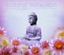 Buddhist Relaxation