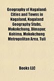 Geography of Nagaland: Cities and Towns in Nagaland, Nagaland Geography Stubs, Mokokchung, Dimapur, Kohima, Mokokchung Metropolitan Area, Tul