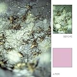 Hoya 67mm FLW Fluorescent Multi Coated Glass Filter