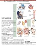 The Netter Collection of Medical Illustrations: Respiratory System: Volume 3, 2e (Netter Green Book Collection)