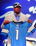 Nick Fairley Autographed/Hand Signed Detroit Lions 16x20 Photo PSA/DNA RookieGraph