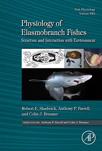 Physiology of Elasmobranch Fishes: Structure and Interaction with Environment- (Fish Physiology)
