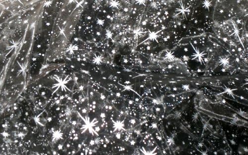 Black Organza Silver Stars - 1 Yard