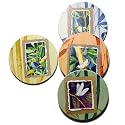 Bamboo Secrets Assorted Round Stone Coaster Set