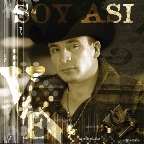 Valentin Elizalde - Cielo Lyrics - Zortam Music
