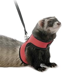 Marshall Ferret Neoprene Harness