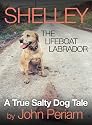 Shelley The Lifeboat Labrador