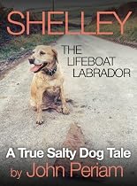 Shelley The Lifeboat Labrador