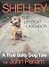 Shelley The Lifeboat Labrador