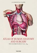 Atlas of Anatomy: The complete colored Plates of 1831-1854 (25th Anniversary Special Edtn)
