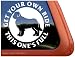 Full Ride ~ Newfoundland Dog Vinyl Window Decal Sticker