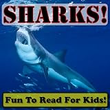 Sharks! Learning About Sharks - Shark Photos And Facts Make It Fun! (Over 45+ Pictures of Different Sharks)