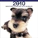 schnauzer19 - Miniature Schnauzer 2010 Square Wall ARTLIST