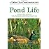 Pond Life (A Golden Guide from St. Martin's Press)