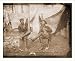 Civil War Photo (M): Brandy Station Va. Two men discussing the probabilities of the next advance