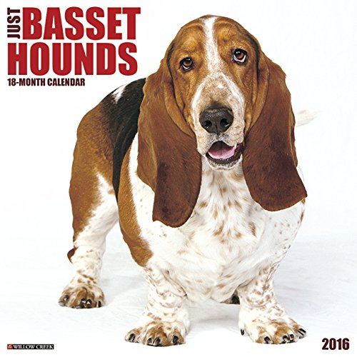 2016 Just Basset Hounds Wall Calendar