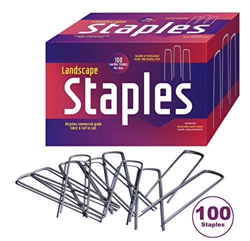 100 Landscape Fabric Staples 11 Gauge Steel used as Garden Staples, Sod Staples, Garden Spikes, Fence Anchors, Anchor Pins, Garden Pegs - Professional Grade - Full 6