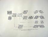 1948 FORAMINIFERA ASIA DIAGRAMS ORBITOLINA EPIDERMIS