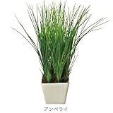 【Massot】インテリアグリーン《アンペライ》☆陶器入り人工葉通販☆