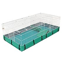 Guinea Habitat Plus Guinea Habitat Plus
