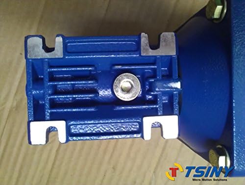 TSINY DC Worm Geared Reducer 24v Electric Motor 100w Large Power High Torque Low Speed Ratio optional