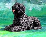 BOUVIER DES FLANDRES, SS-4581