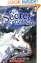 My Secret Unicorn #4: Starlight Surprise