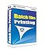 Lantech Soft Batch Files Printing - 1 PC, 1 Year (CD) RS.2999.00