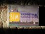 SIMCITY THE CARD GAME WASHINGTON D.C. STARTER DECK (SIM CITY)