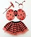 Lolasaturdays Fairy wing and dress set (Ladybug)