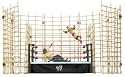 WWE Punjabi Prison Match