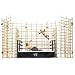 WWE Punjabi Prison Match